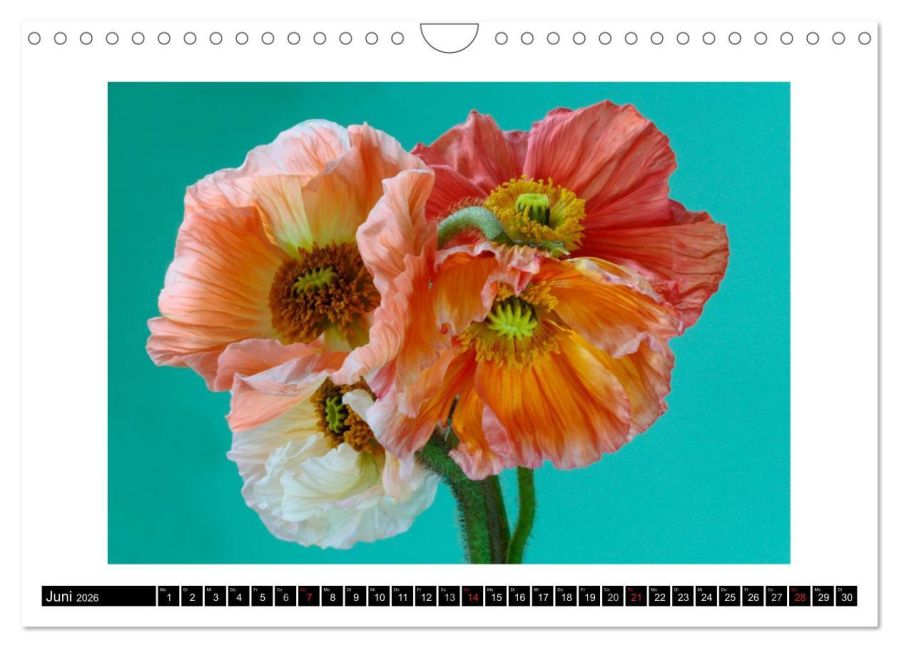 additionalImage11