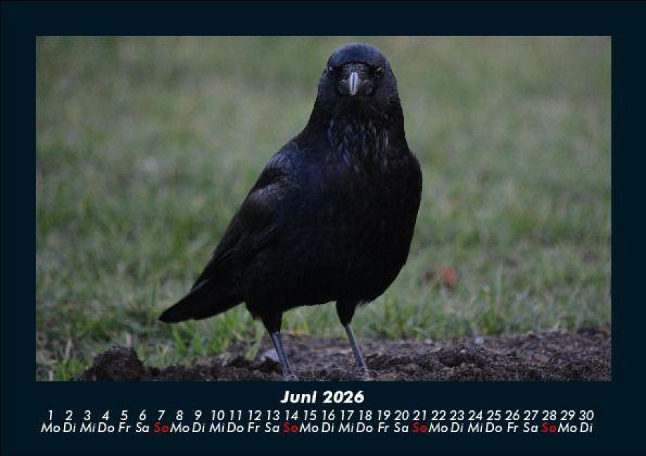additionalImage10