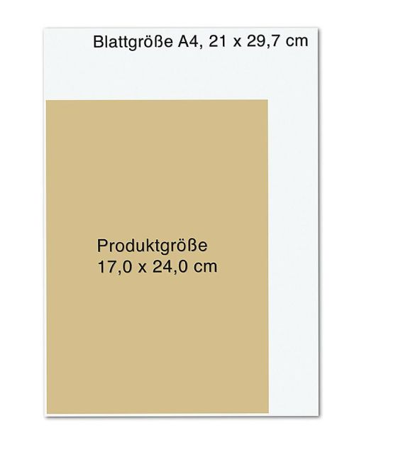 additionalImage7