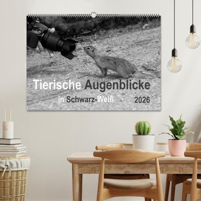 additionalImage1