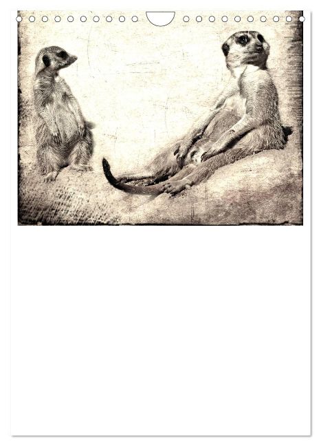 additionalImage6