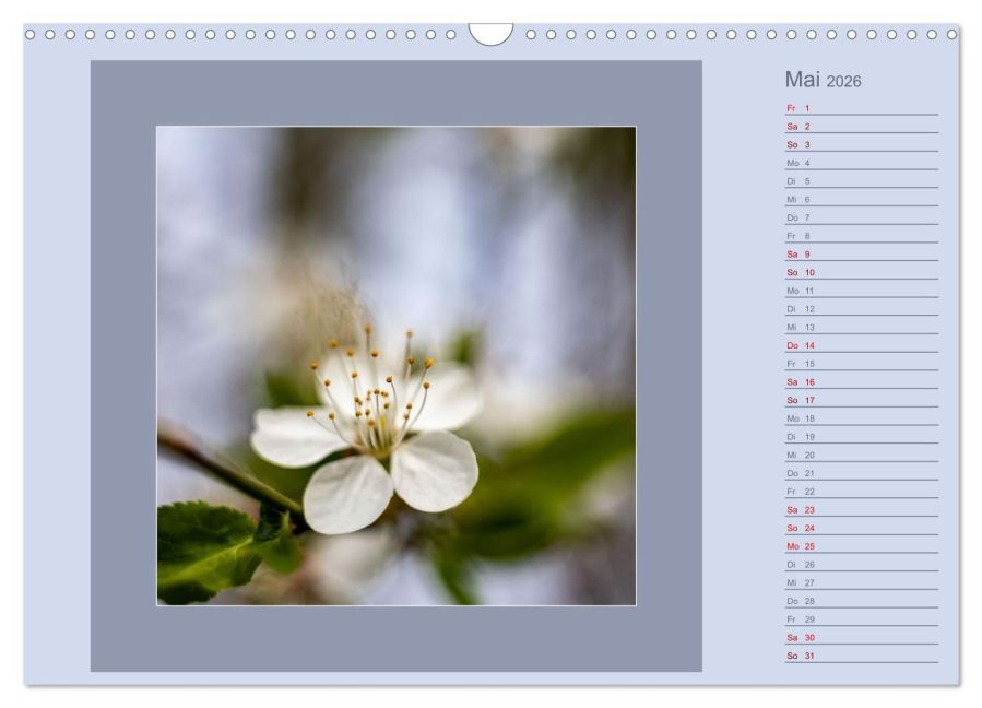 additionalImage10