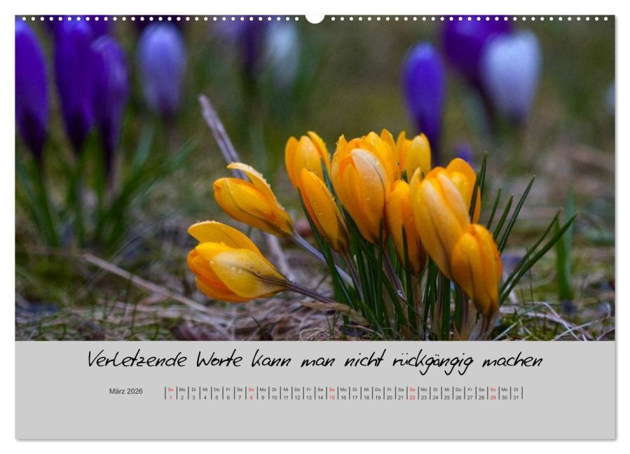 additionalImage7