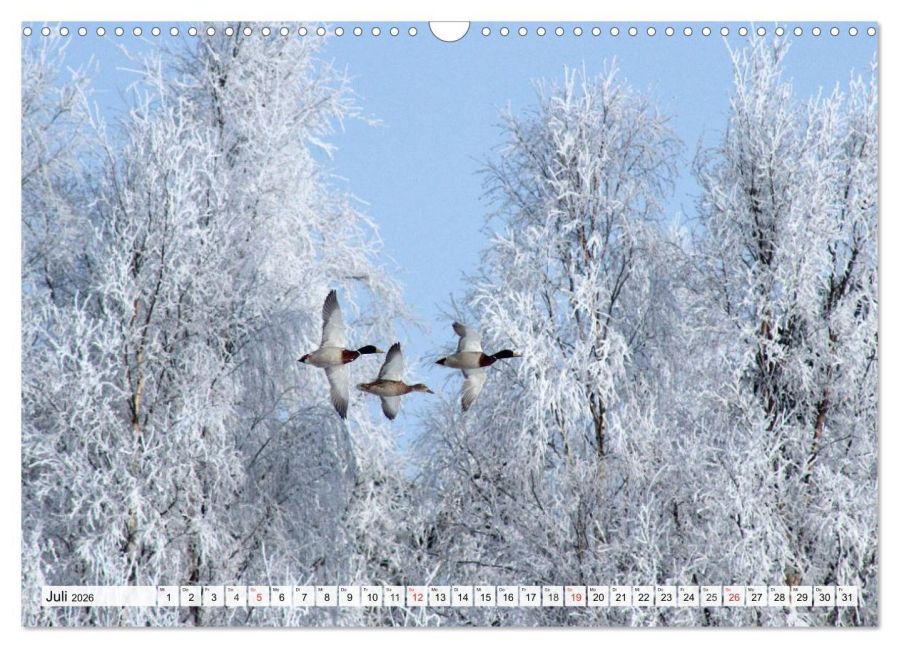 additionalImage12