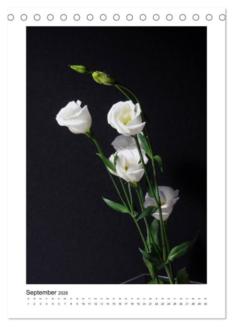 additionalImage14
