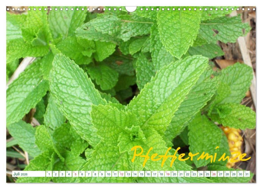 additionalImage12