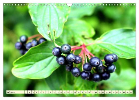 additionalImage12