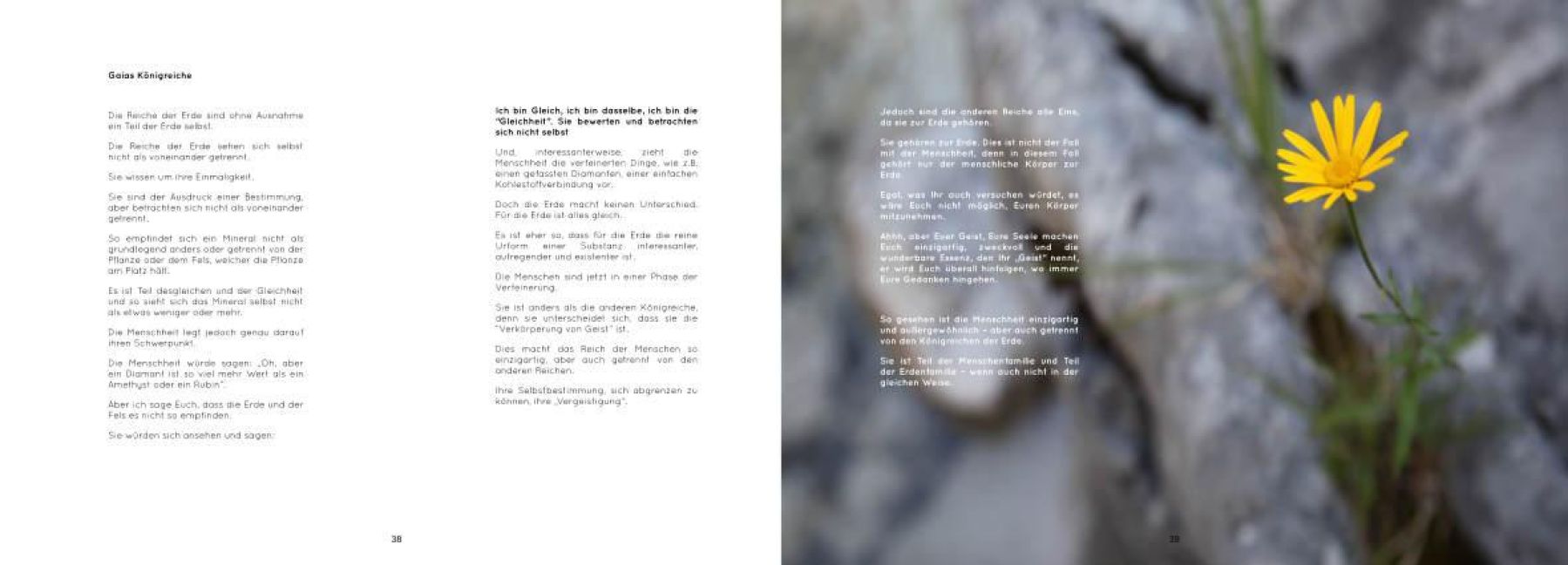 additionalImage4