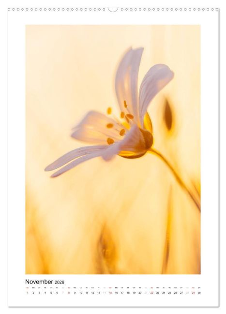 additionalImage3