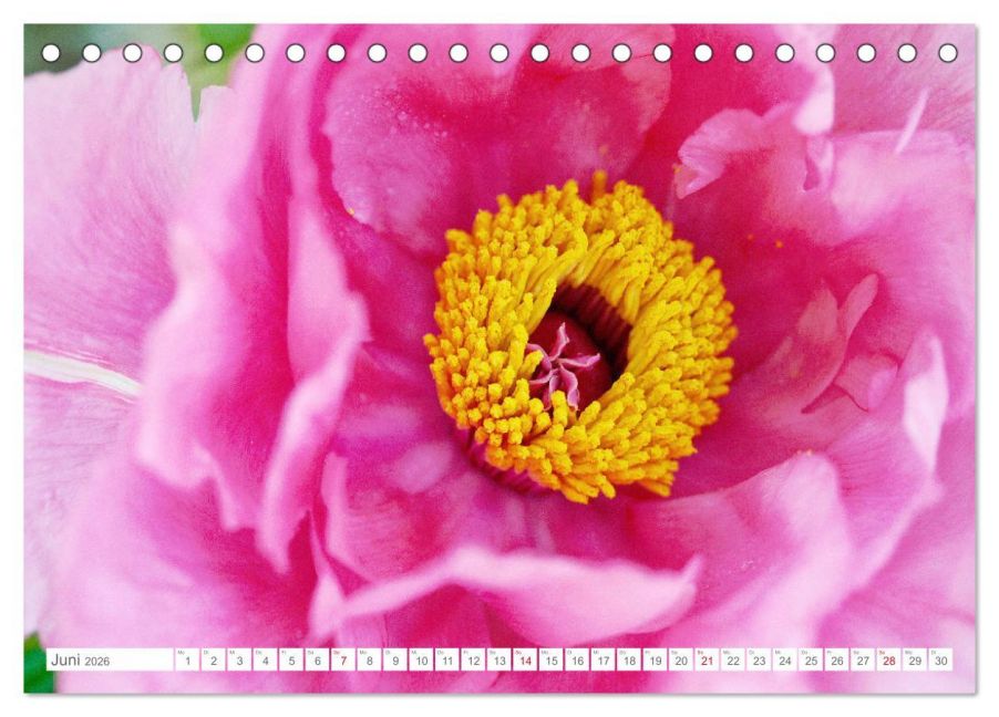 additionalImage11