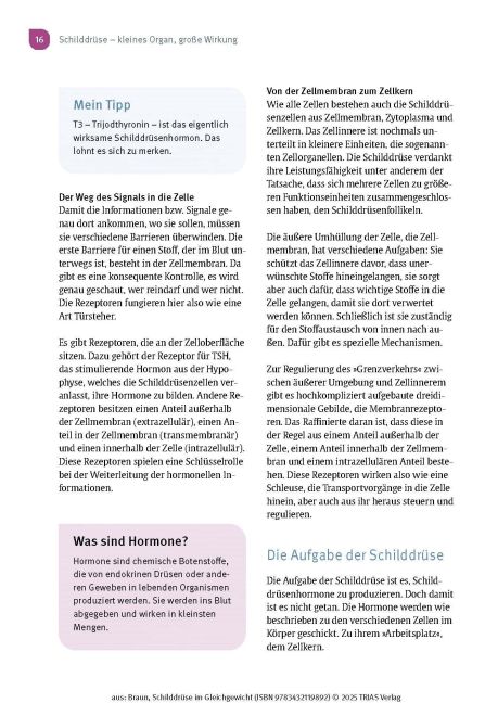 additionalImage10