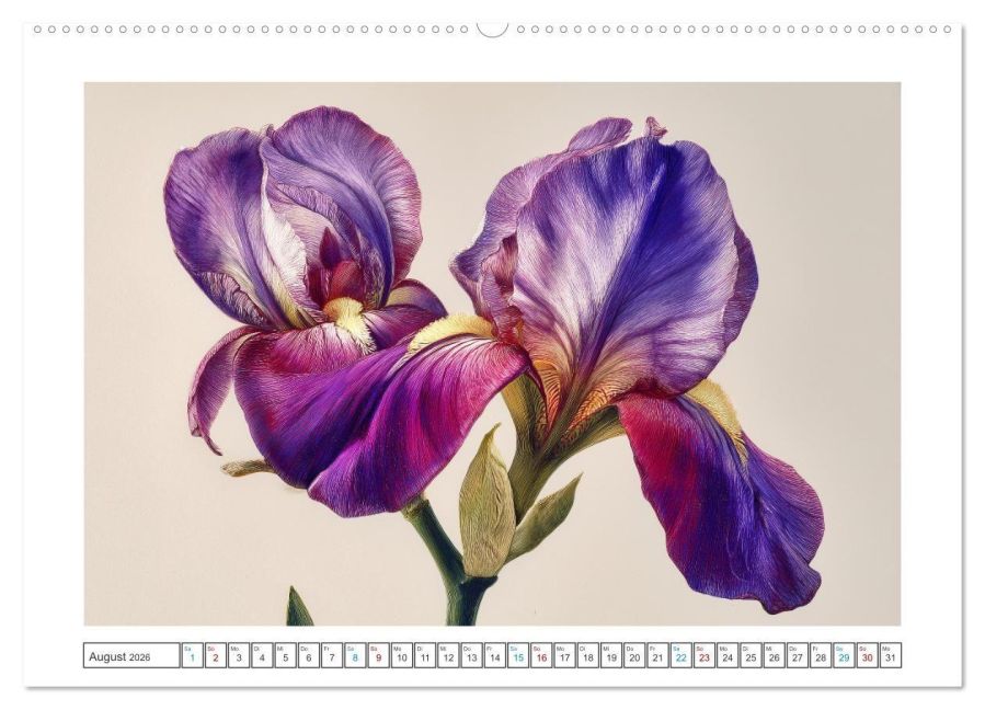 additionalImage12