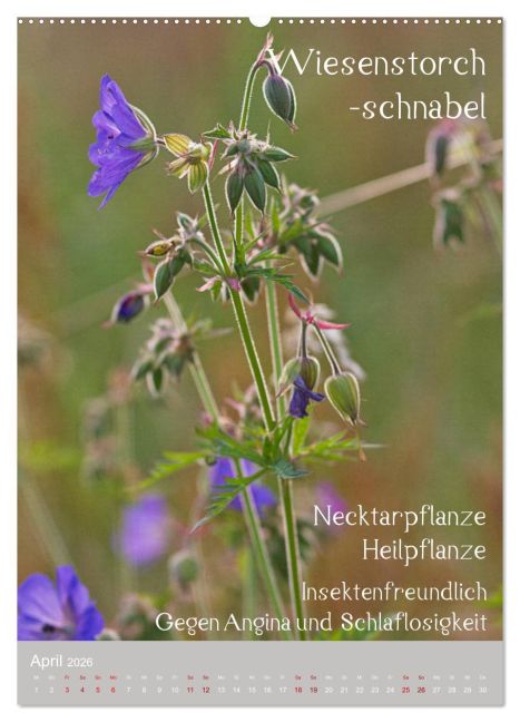 additionalImage8
