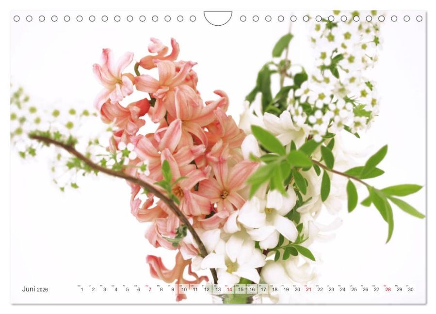 additionalImage11
