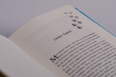Bildprobe 3