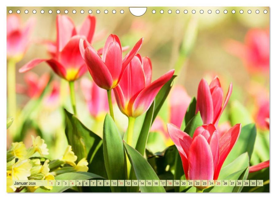 additionalImage6