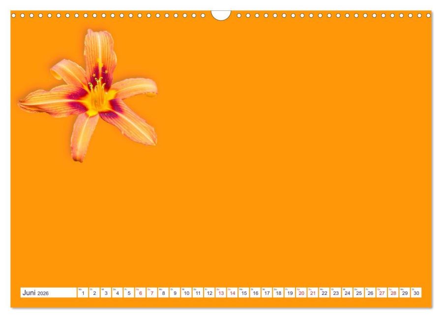 additionalImage11