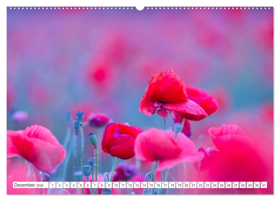 additionalImage4