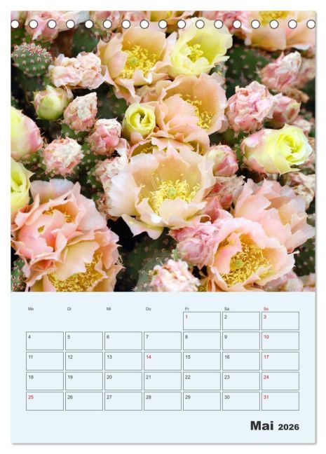 additionalImage10