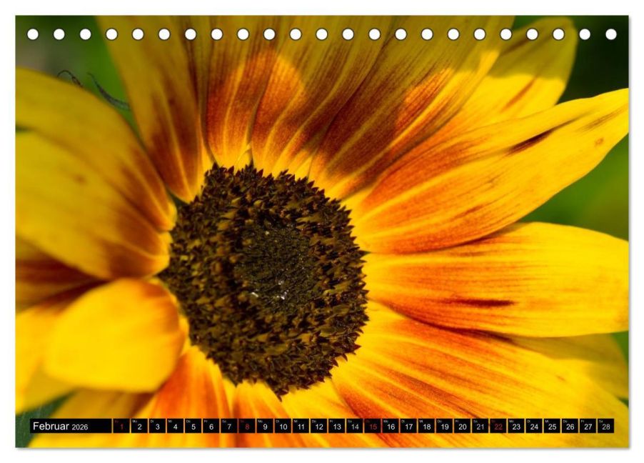 additionalImage7