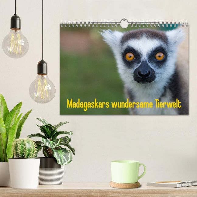 additionalImage1