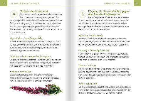 additionalImage2