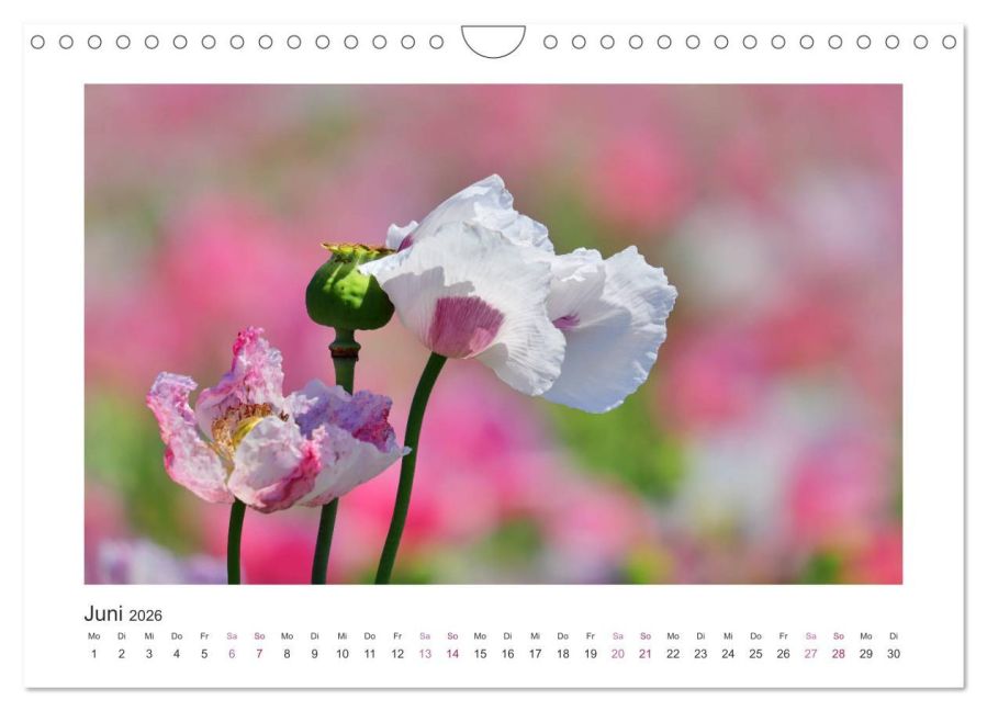 additionalImage11