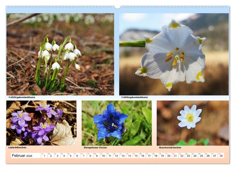 additionalImage6