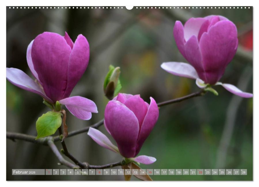 additionalImage6