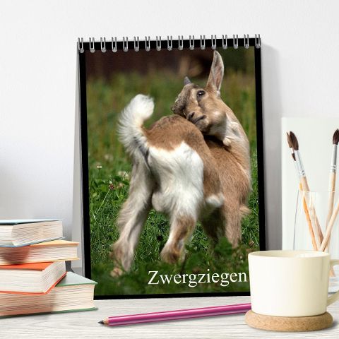 additionalImage1