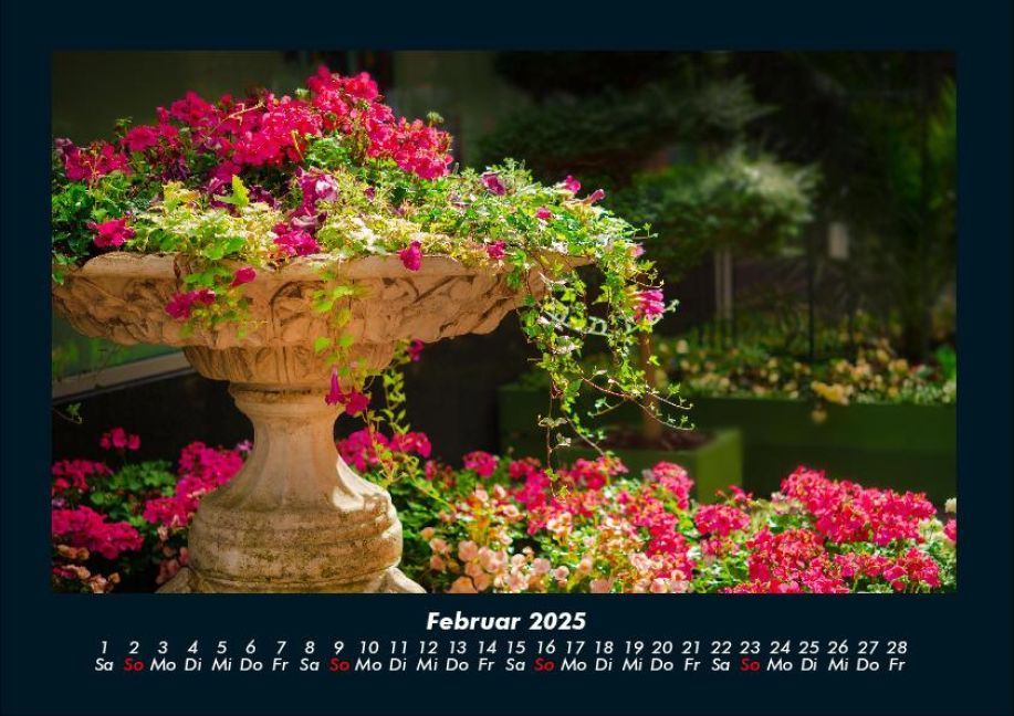 additionalImage6