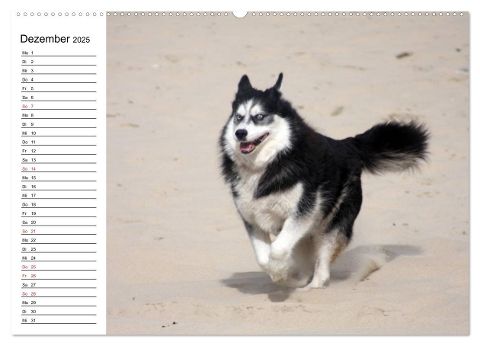 additionalImage4