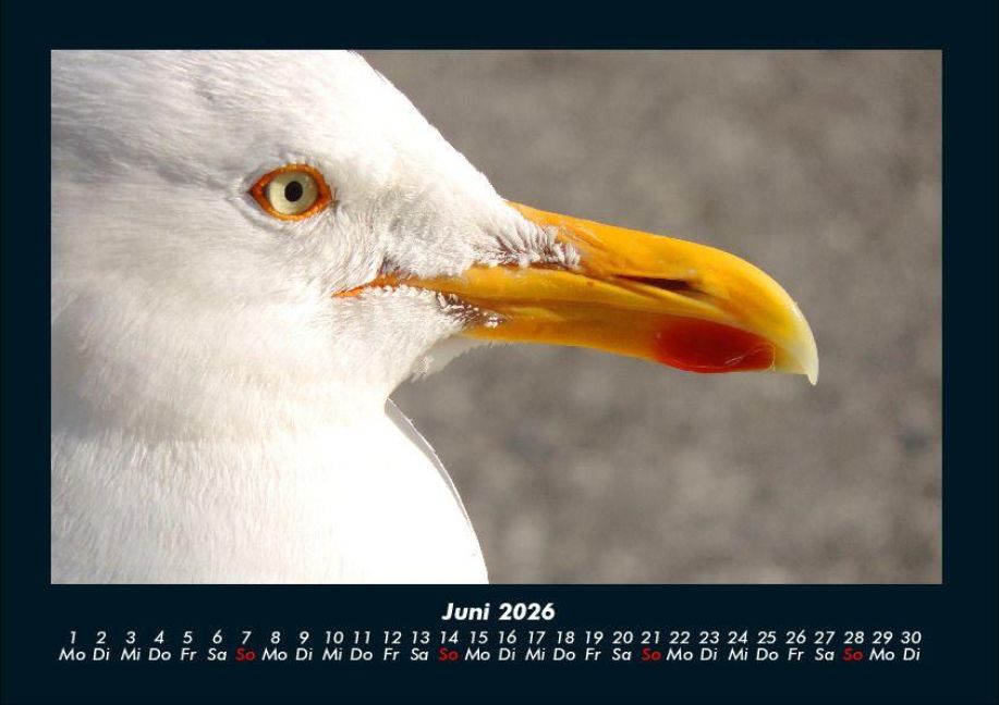 additionalImage10