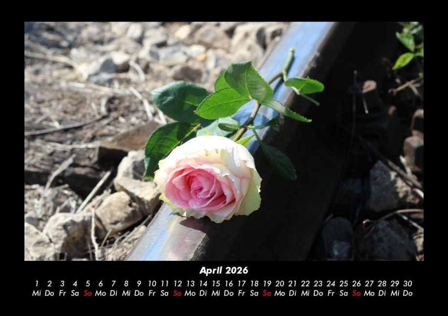 additionalImage8