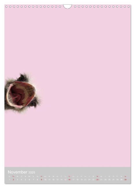 additionalImage3