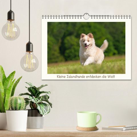additionalImage1