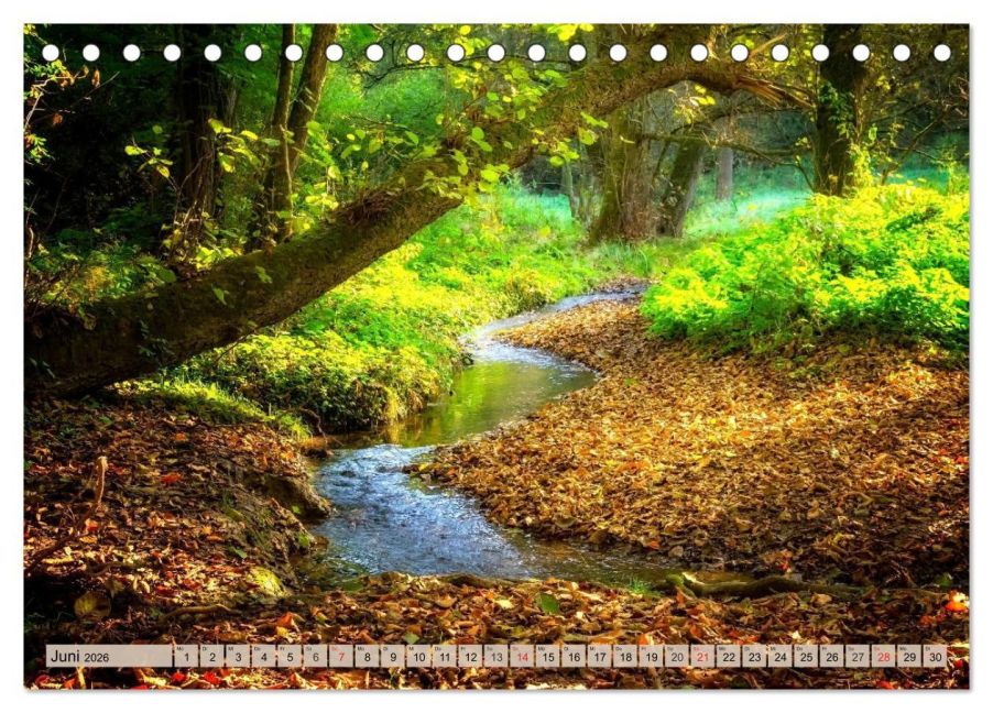 additionalImage11