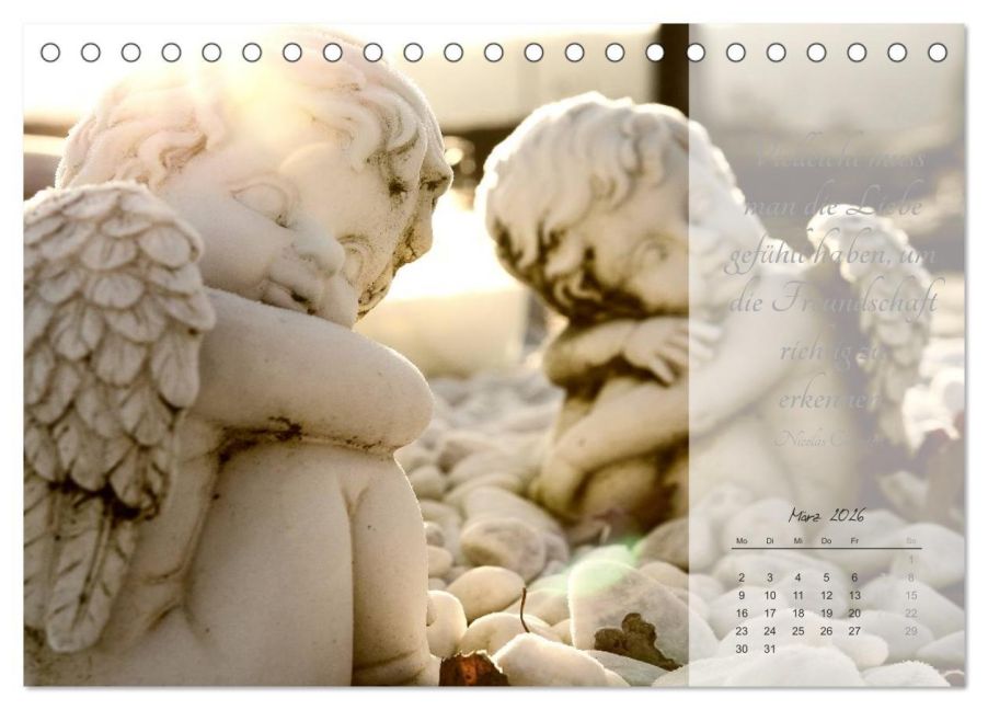 additionalImage8