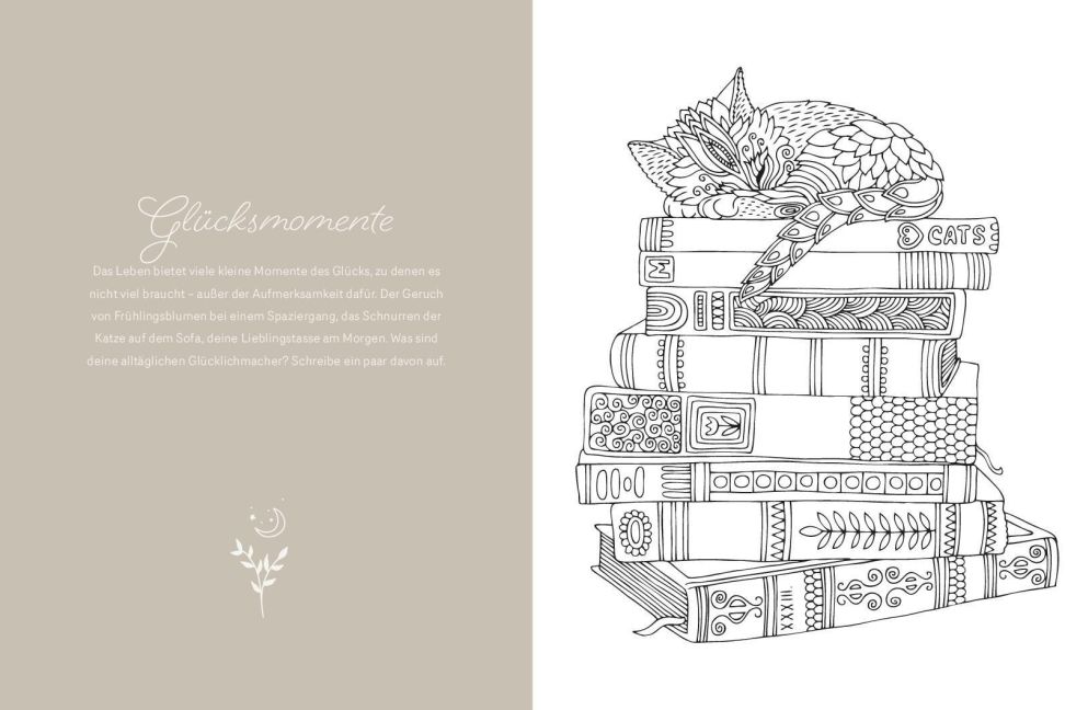 additionalImage3