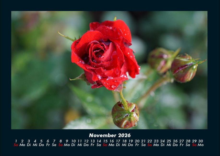 additionalImage3