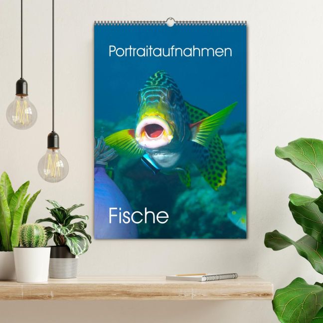 additionalImage1