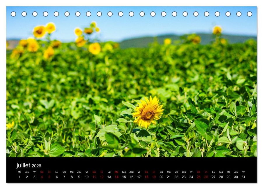 additionalImage12