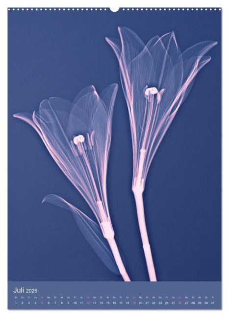 additionalImage11