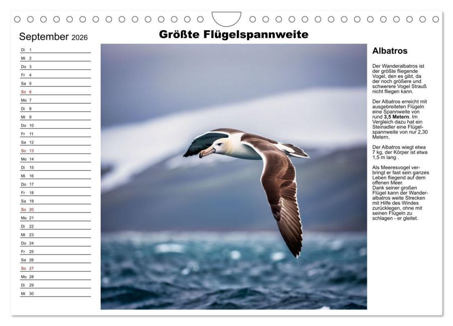 additionalImage14