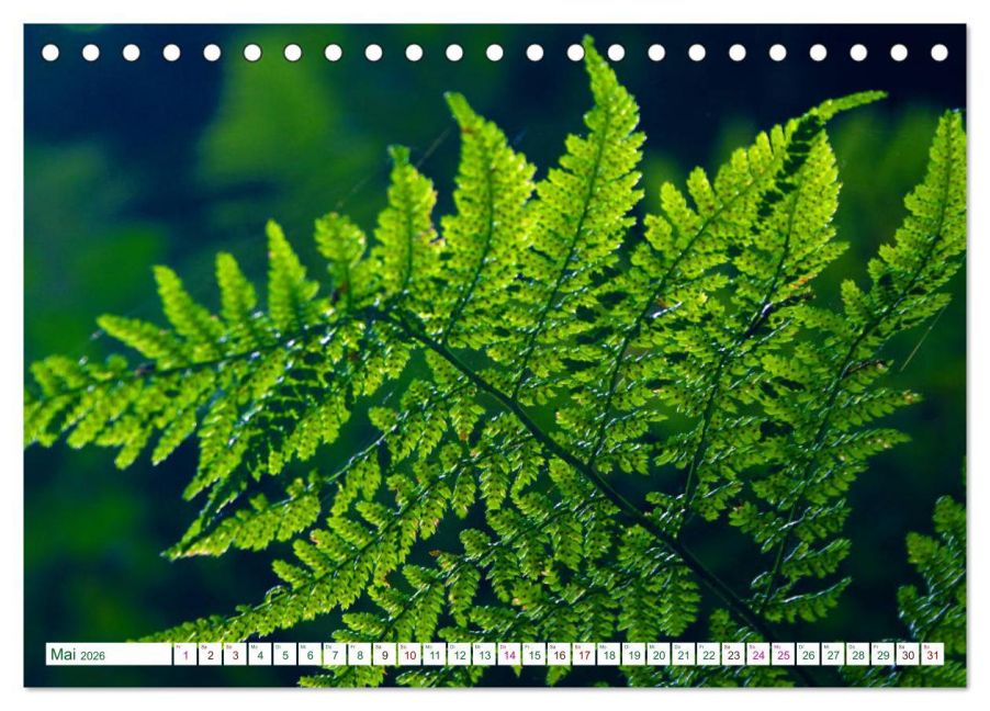 additionalImage10
