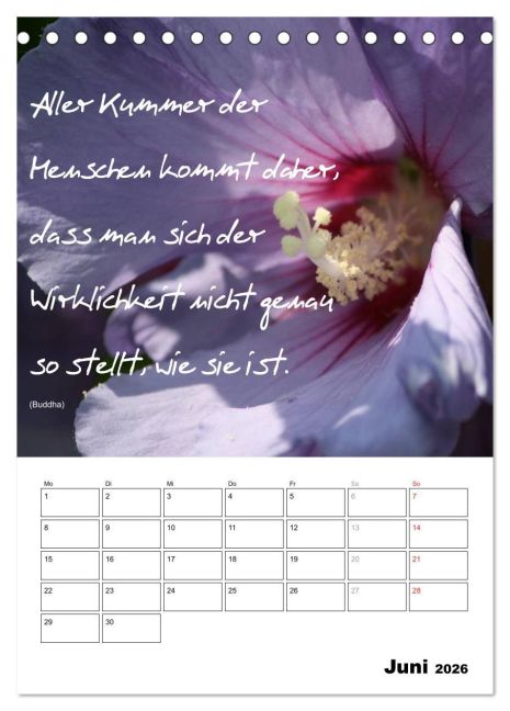 additionalImage11
