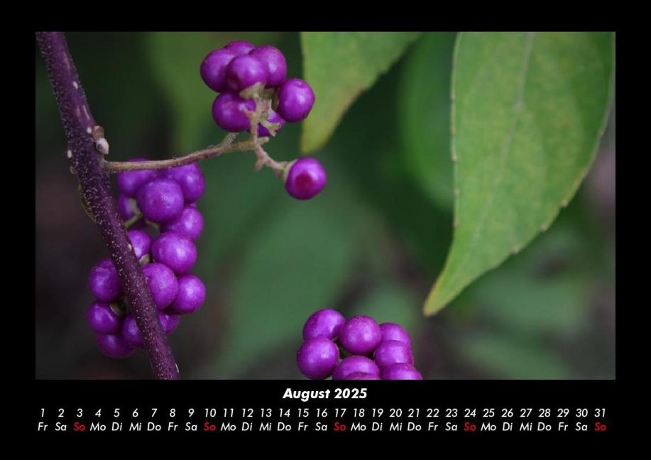 additionalImage12