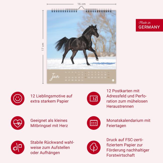 additionalImage13