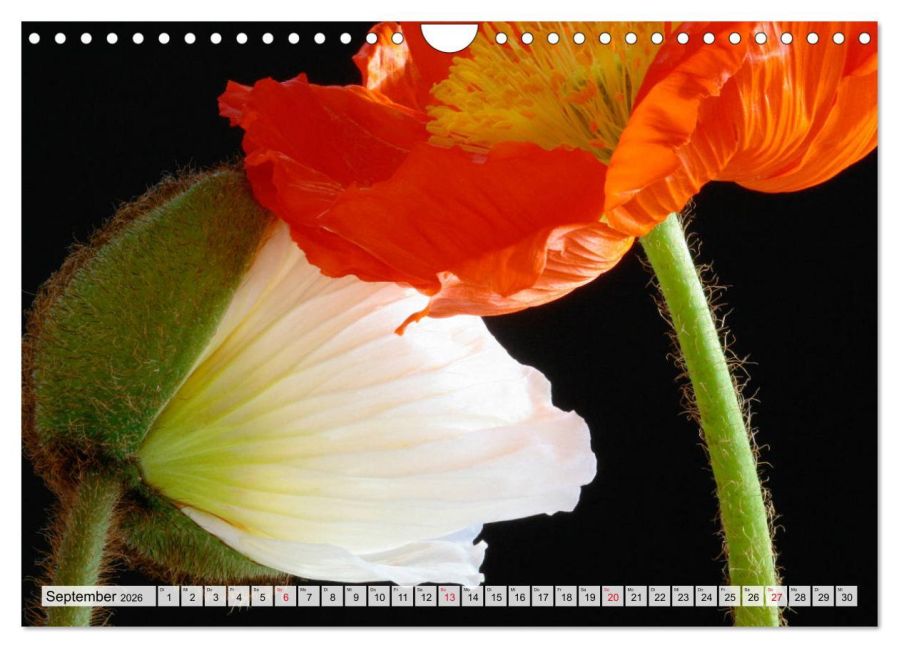 additionalImage14