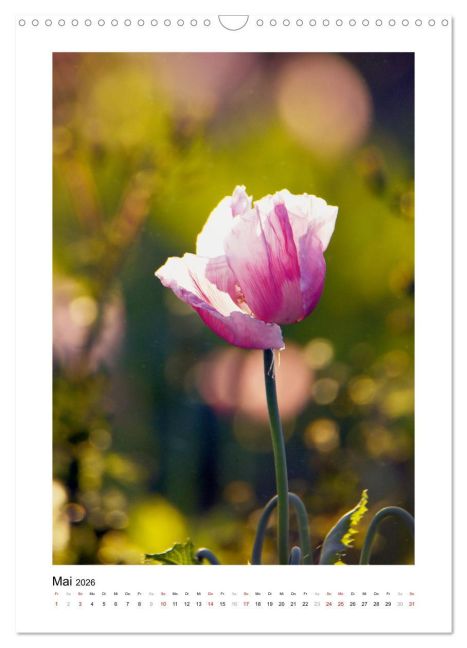 additionalImage10